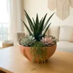 A flawless indoor succulent garden arrangement in a terracotta pot styled on a bright living room table.