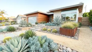 A professionally landscaped front yard featuring a modern succulent garden design with diverse textures and layers.
