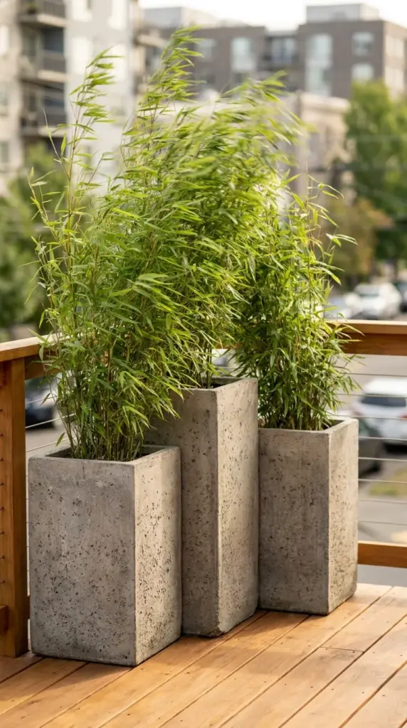 Clustered oversized rectangular planters filled with tall bamboo plants creating an instant outdoor privacy screen.
