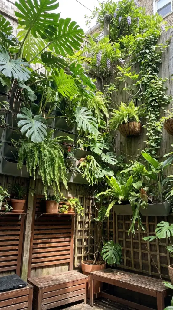 Vertical jungle garden in a small backyard featuring living walls, hanging ferns, and climbing vines on tall trellises.