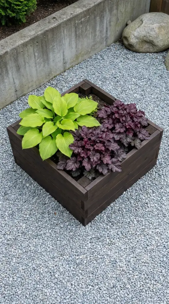 Modern small 4x4 raised garden bed with contrasting low maintenance plants.